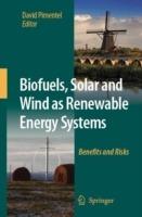 Biofuels, Solar and Wind as Renewable Energy Systems: Benefits and Risks - cover