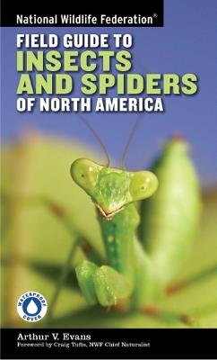 National Wildlife Federation Field Guide to Insects and Spiders & Related Species of North America - Arthur V. Evans - cover