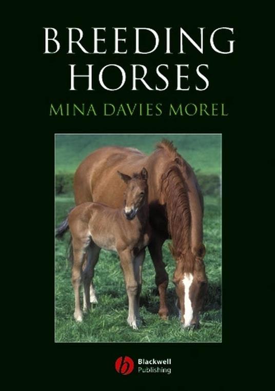 Breeding Horses - Mina Davies-Morel - cover