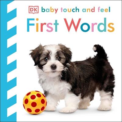 Baby Touch and Feel First Words: An Interactive Language Development Board Book - DK - cover