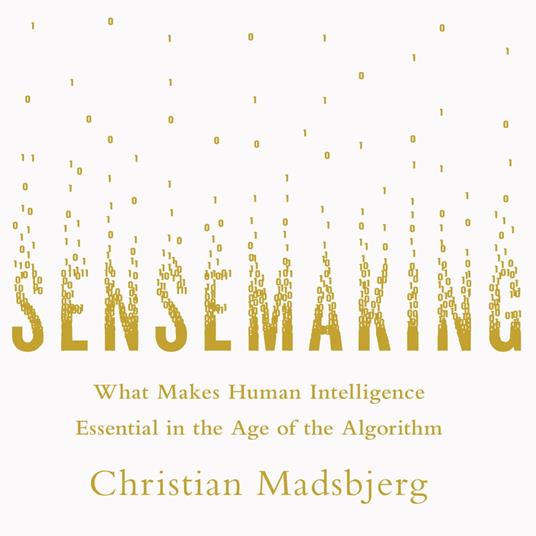 Sensemaking