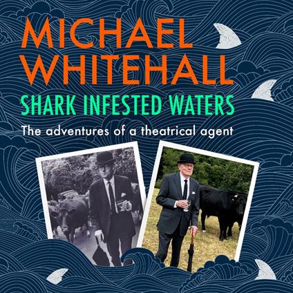 Shark-Infested Waters