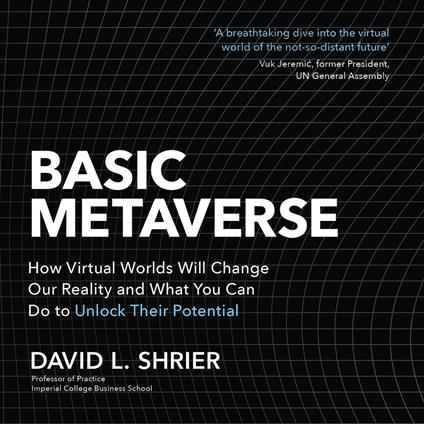 Basic Metaverse