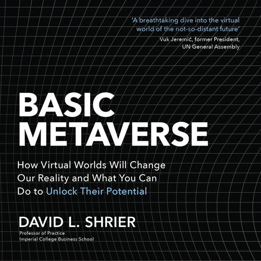 Basic Metaverse
