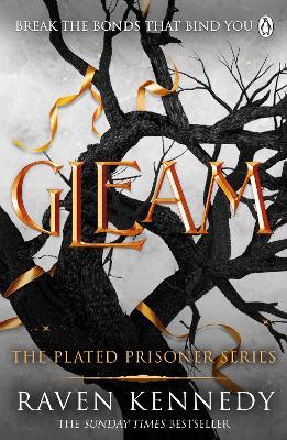 Gleam: The dark fantasy TikTok sensation that’s sold over a million copies - Raven Kennedy - cover