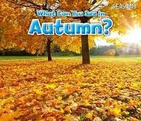 What Can You See In Autumn? - Sian Smith - cover