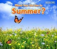 What Can You See In Summer? - Sian Smith - cover