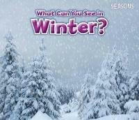 What Can You See In Winter? - Sian Smith - cover
