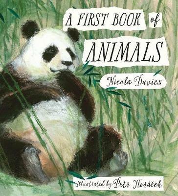 A First Book of Animals - Nicola Davies - cover
