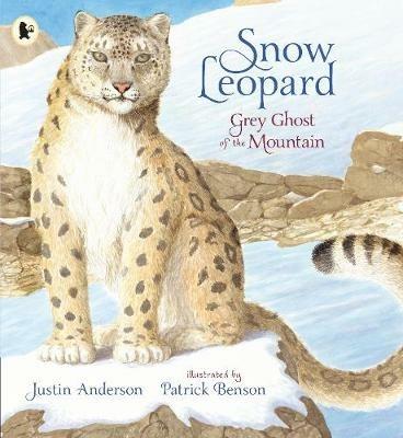 Snow Leopard: Grey Ghost of the Mountain - Justin Anderson - cover