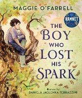 The Boy Who Lost His Spark - Maggie O'Farrell - cover
