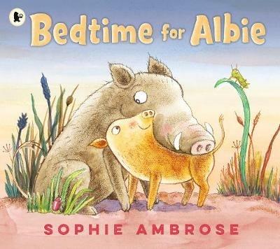 Bedtime for Albie - Sophie Ambrose - cover