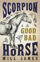 Scorpion - A Good Bad Horse