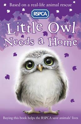 Little Owl Needs a Home - Sue Mongredien - cover