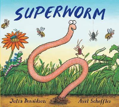 Superworm Gift Edition Board Book - Julia Donaldson - cover