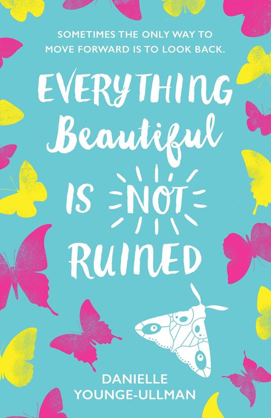 Everything Beautiful Is Not Ruined - Danielle Younge-Ullman - ebook
