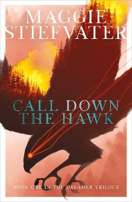 Call Down the Hawk: The Dreamer Trilogy #1 - Maggie Stiefvater - cover