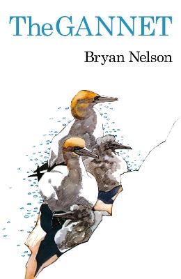 The Gannet - Bryan Nelson - cover