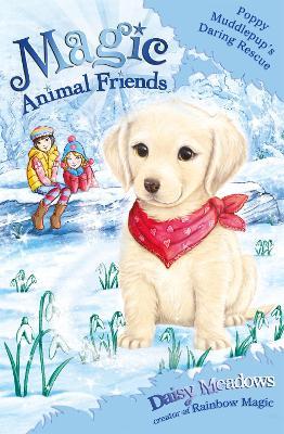 Magic Animal Friends: Poppy Muddlepup's Daring Rescue: Special 1 - Daisy Meadows - cover