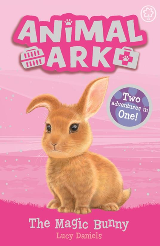 The Magic Bunny - Lucy Daniels - ebook
