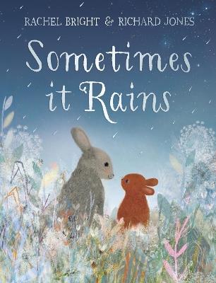 Sometimes It Rains - Rachel Bright - cover