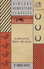 Illustrated Horse-Breaking