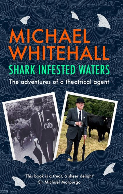 Shark-Infested Waters