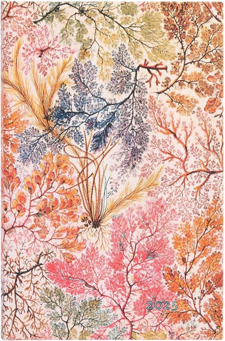 Agenda Paperblanks, 2025 Anemone, 12 Mesi, verso, Midi, 12,5 x 18 cm