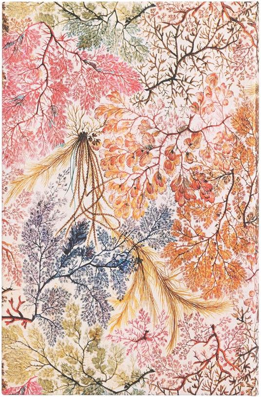 Agenda Paperblanks, 2025 Anemone, 12 Mesi, verso, Midi, 12,5 x 18 cm - 3