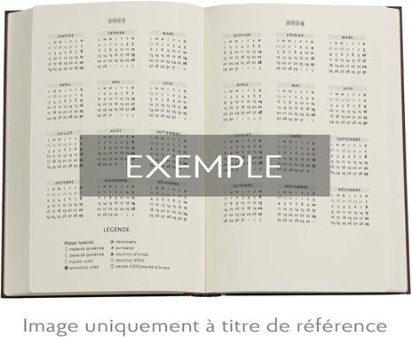 Agenda Paperblanks, 2025 Anemone, 12 Mesi, verso, Midi, 12,5 x 18 cm - 6