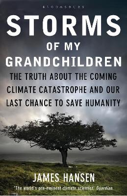 Storms of My Grandchildren: The Truth about the Coming Climate Catastrophe and Our Last Chance to Save Humanity - James Hansen - cover