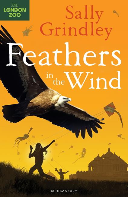 Feathers in the Wind - Sally Grindley - ebook