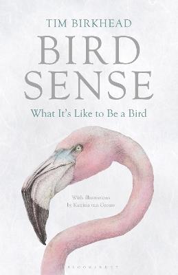 Bird Sense: What It's Like to Be a Bird - Tim Birkhead - cover