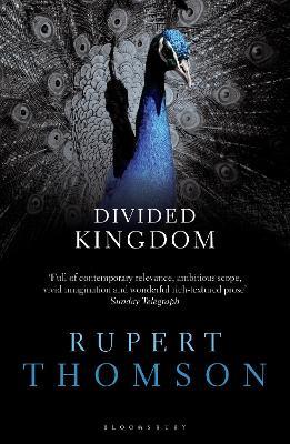 Divided Kingdom - Rupert Thomson - cover