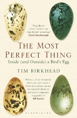 The Most Perfect Thing: Inside (and Outside) a Bird's Egg - Tim Birkhead - cover
