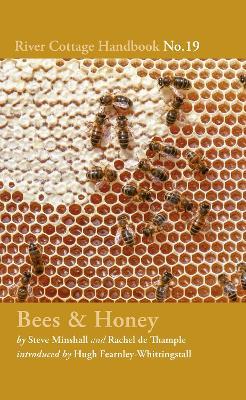 Bees & Honey: River Cottage Handbook No.19 - Rachel de Thample - cover