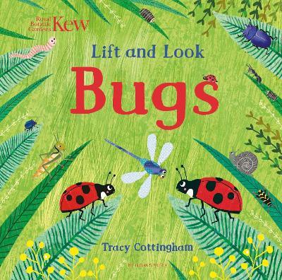 Kew: Lift and Look Bugs - cover