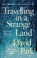 Travelling in a Strange Land: Winner of the Kerry Group Irish Novel of the Year