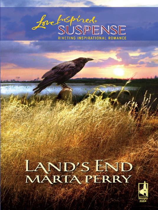 Land's End (Mills & Boon Love Inspired)