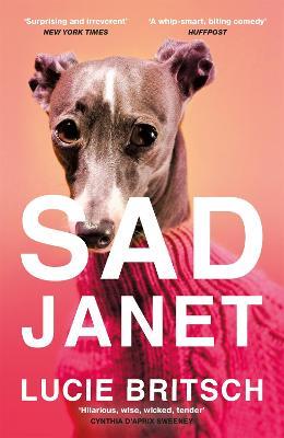Sad Janet: ‘A whip-smart, biting tragicomedy’ HuffPost - Lucie Britsch - cover
