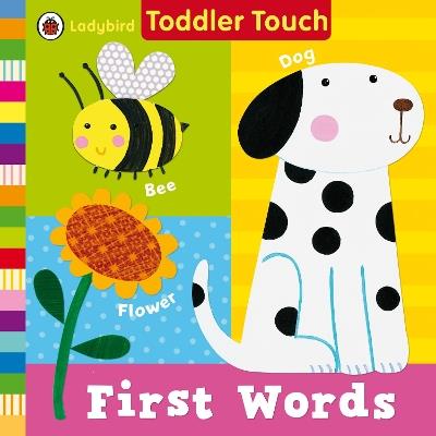 Ladybird Toddler Touch: First Words - cover