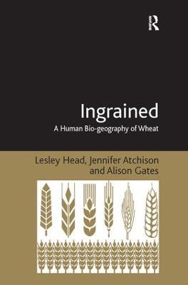 Ingrained: A Human Bio-geography of Wheat - Lesley Head,Jennifer Atchison - cover