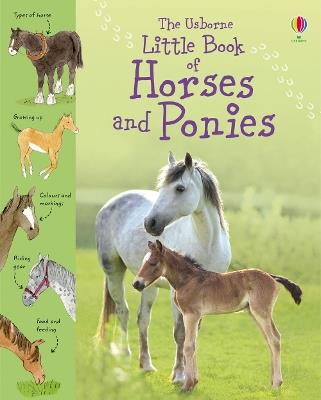 Little Book of Horses and Ponies - Sarah Khan - cover