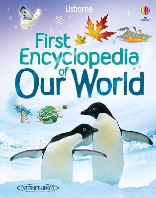 First Encyclopedia of Our World - Felicity Brooks - cover