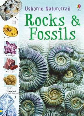 Rocks and Fossils - Struan Reid - cover