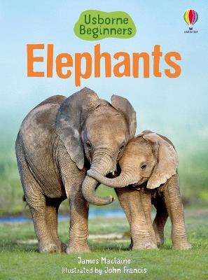 Elephants - James Maclaine - cover