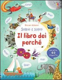 Il libro dei perché. Ediz. illustrata - Katie Daynes - copertina