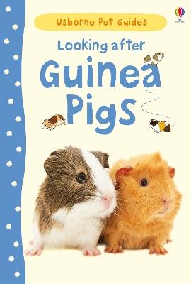 Looking after Guinea Pigs - Laura Howell - cover