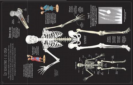 Il corpo umano. Con adesivi. Ediz. illustrata - Alex Frith,Ian McNee,Adam Larkum - 2