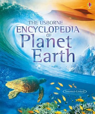 The Usborne Encyclopedia of Planet Earth - Anna Claybourne,Gillian Doherty - cover